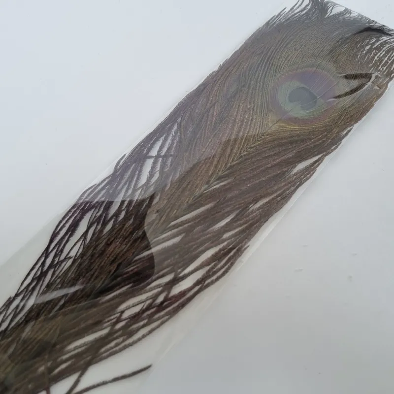 Flybox Bleached Peacock Eyes in Dyed Black 2 eyes per pack-3